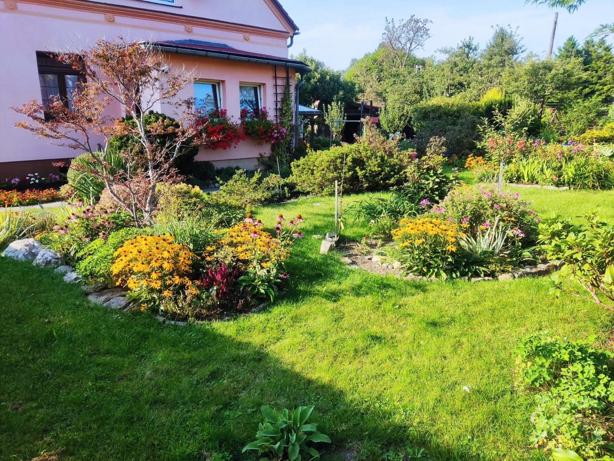 Apartment In Blossom Garden Nove Mesto pod Smrkem Eksteriør bilde